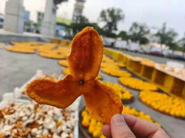 70元“工艺皮”竟卖千元高价？新会陈皮造假：别搞错打假重点