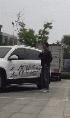 大哥, 这就是乱停车的下场, 长点心吧